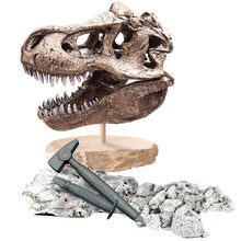 Load image into Gallery viewer, T-rex Giant Skull